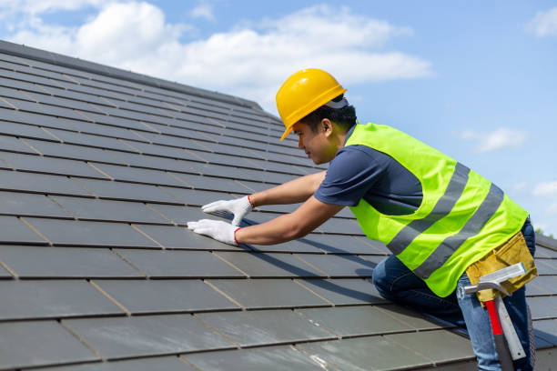 Best Roof Repair Services  in Caledonia, MN