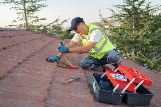 Best Storm Damage Roof Repair  in Caledonia, MN